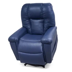 Artemis II Lift Recliner &ndash; Medium/Large