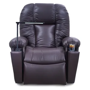 Artemis II Lift Recliner &ndash; Small/Medium