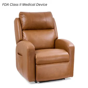 Aiden Small Power Lift Recliner - Sparrow
