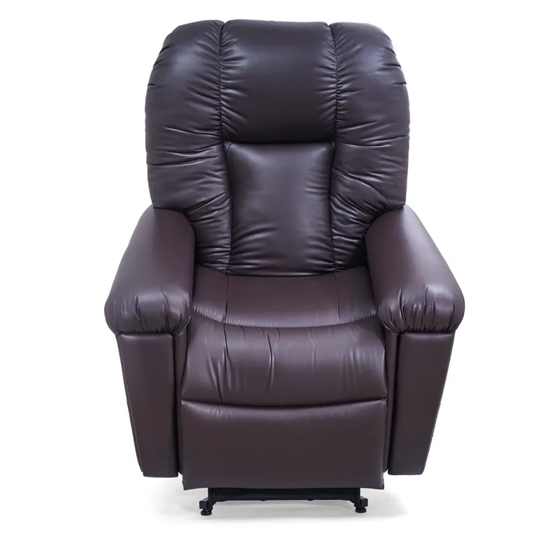 Artemis II Lift Recliner &ndash; Small/Medium