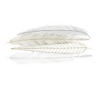 Metal Wall Decor