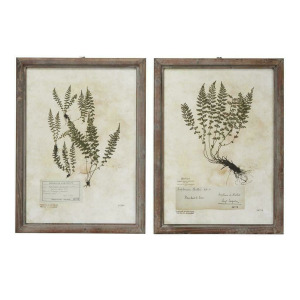 Farmhouse Leaves Framed Wall Art, Set of 2