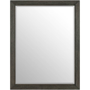 Modern- Mist & Veil Veil Mirror
