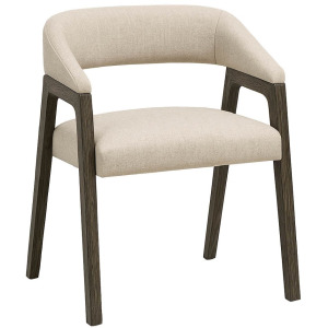 Modern- Mist & Veil Veil Dining Chair