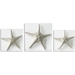 Silver Starfish, S/3