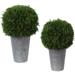 Cypress Globes S/2