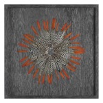 Kumara Shadow Box