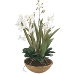 Moth Orchid Planter