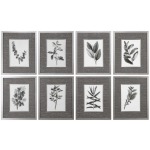 Sepia Gray Leaves Framed Prints, S/8