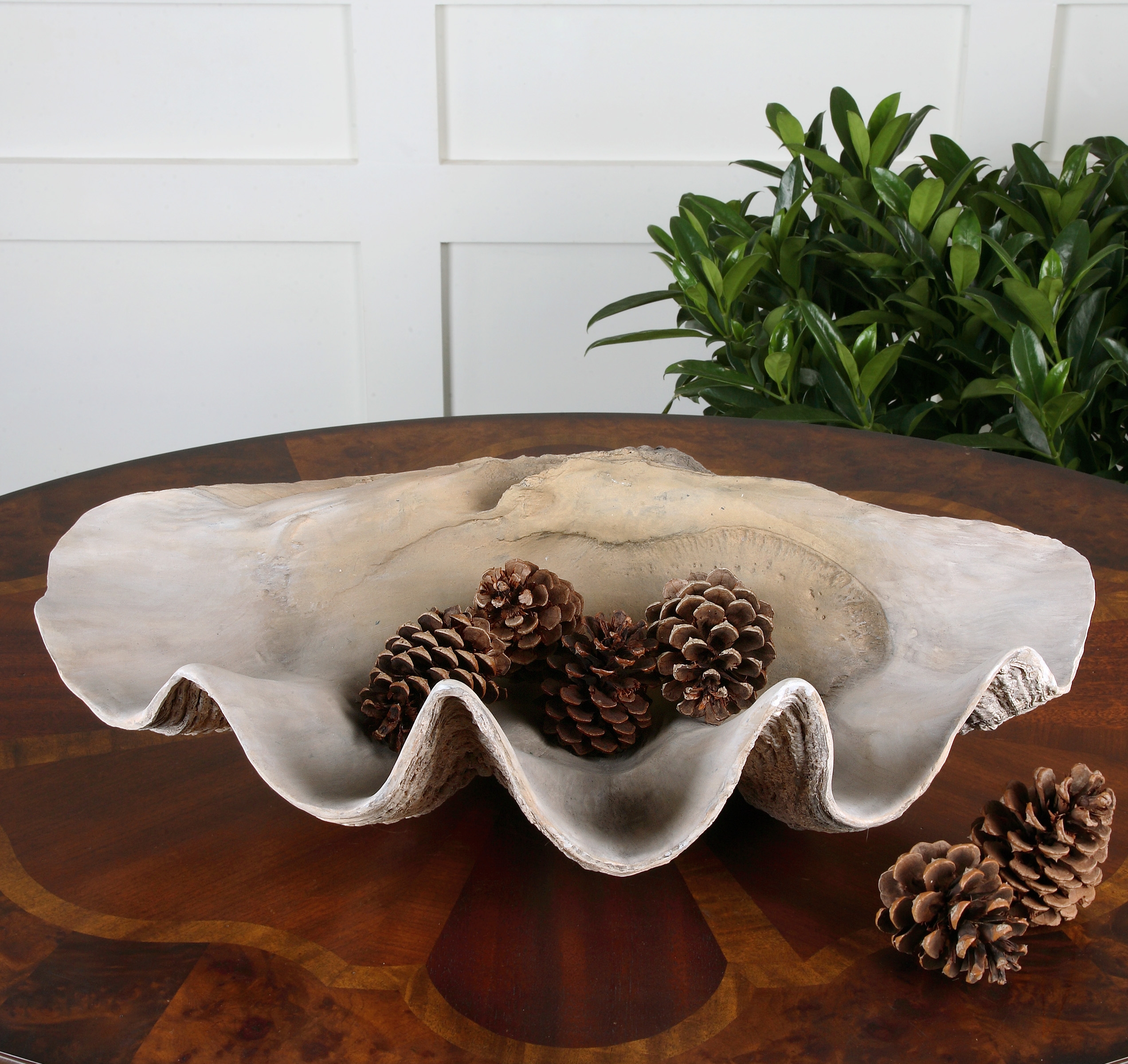 Clam Shell, Bowl 19800 by Uttermost at Gladhill Furniture