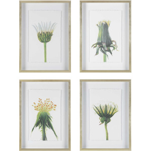 Wildflowers Framed Prints S/4