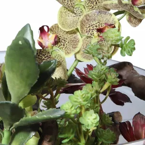 Hala 22" Wide Artificial Plant