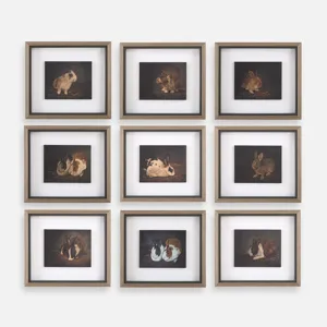 Resting Bunny Framed Prints Set/9