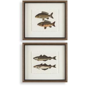 The Catch Framed Fish Prints Set/2