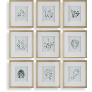 Nature's Script Framed Botanical Prints Set/9
