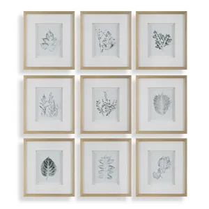 Nature\'s Script Framed Botanical Prints Set/9