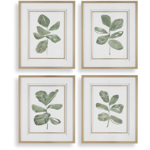 Fiddle Head Leaf Botanical Prints Set/4
