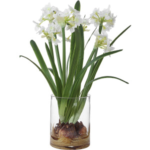 Lacey Daffodil Accent Arrangement