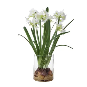Lacey Daffodil Accent Arrangement