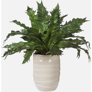 Verdure Fern In Glazed Pot