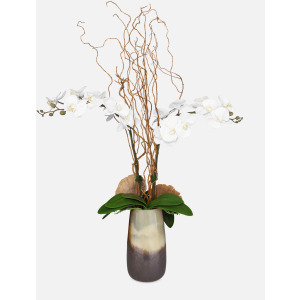 Earthbound Orchid With Vase