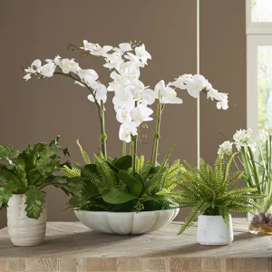 Flourish Orchid Centerpiece