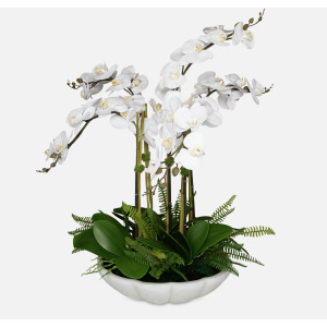 Flourish Orchid Centerpiece