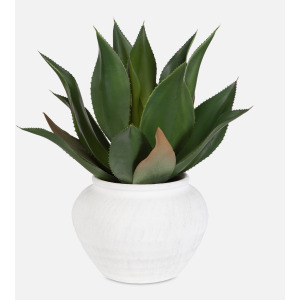 Tierra Agave Centerpiece With Vase