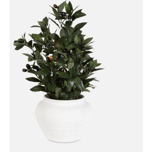 Elena Olive Centerpiece