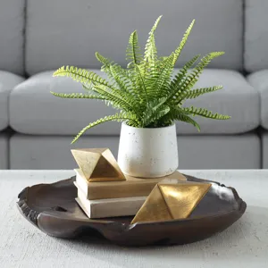 Boston Fern In White Ceramic Pot