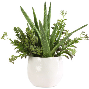Sundown Succulent Accent Planter