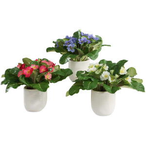Trilogy Primrose Accents In Vases Set/3