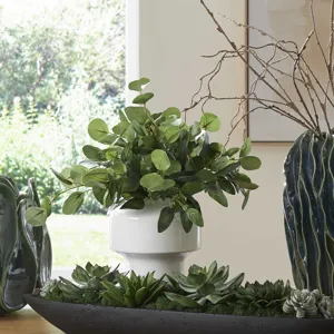 Essence Eucalyptus Accent & Vase