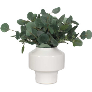 Essence Eucalyptus Accent & Vase