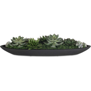 Verde Succulent Centerpiece In Bowl