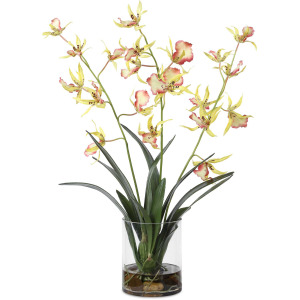 Spider Orchid In Glass Vase