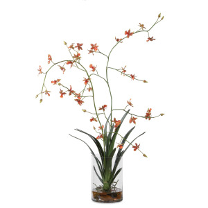 Dancing Orchid In Glass Vase