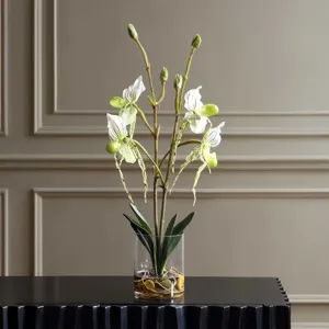 Lady Slipper Orchid In Glass Vase