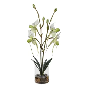 Lady Slipper Orchid In Glass Vase