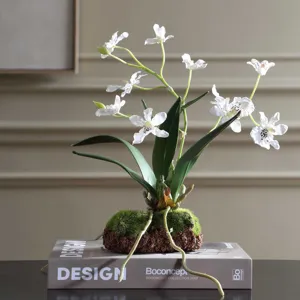 Clovis Orchid Drop-In