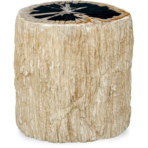 Arco Petrified Wood Top Accent Table