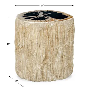 Arco Petrified Wood Top Accent Table