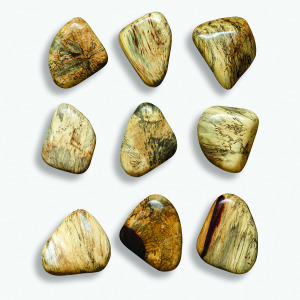 Pebbles Blonde Wood Wall Decor, S/9