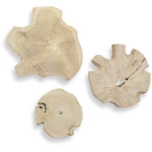 Kalani Wood Outdoor Wall Art Set/3