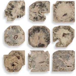 Bahati Wood Bleached Wall Decor Set/9