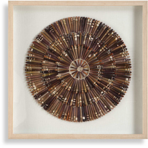 Tiger Sea Urchin Shadow Box