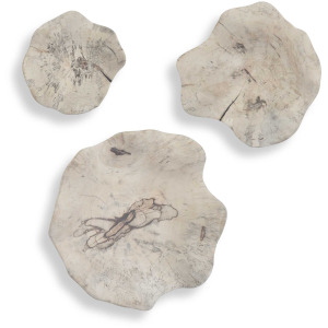 Teo Bleached Wood Wall Decor Set/3