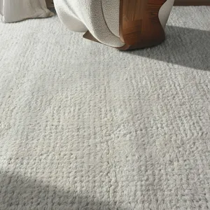 Clayhill Ivory White 6 X 9 Rug