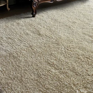 Caramont Ivory 9 X 12 Rug