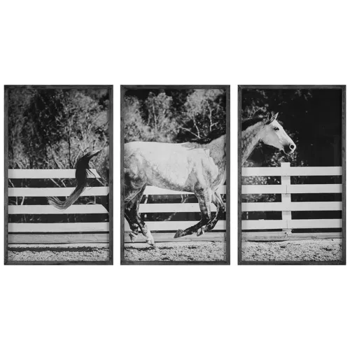 Galloping Forward Framed Prints, S/3